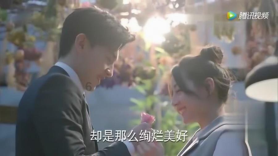 重庆一小区多只宠物狗蹊跷死亡，物业：已报警，物业该不该承担责任呢？